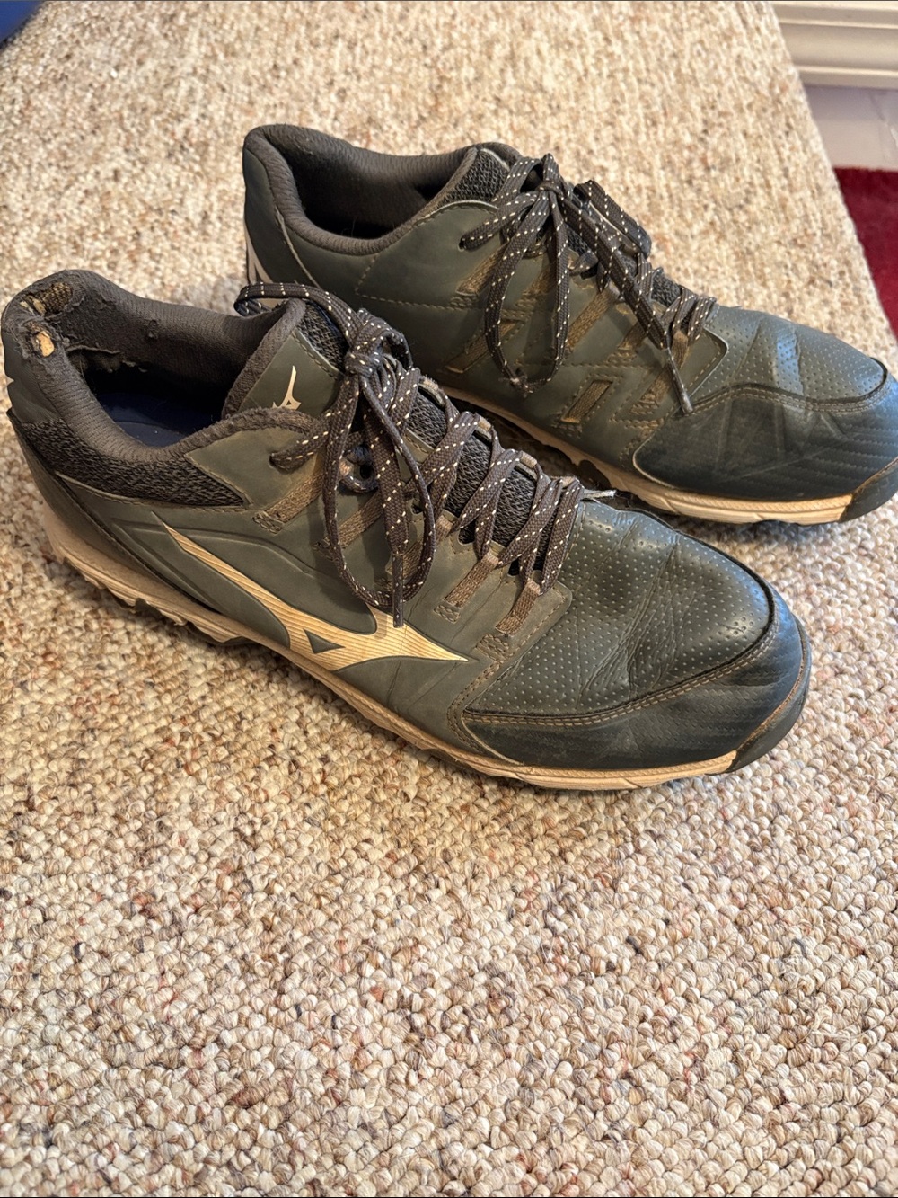 Mizuno Metal Cleats
